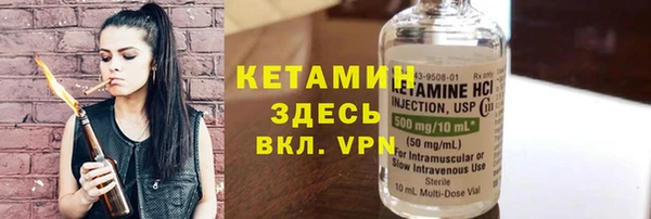 индика Медвежьегорск
